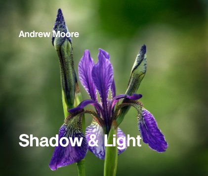 Shadow & Light book cover
