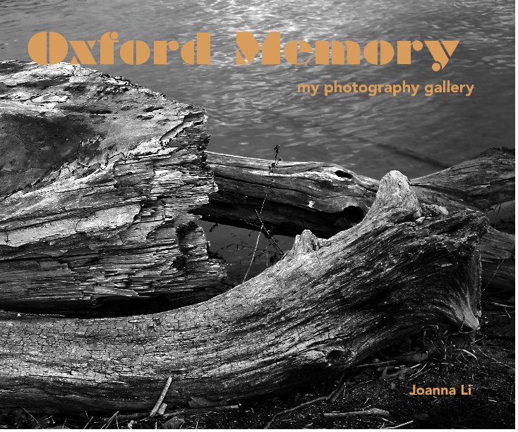 View Oxford Memory by Joanna Li