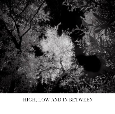 High, Low and In Between book cover