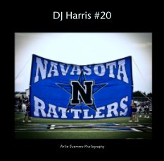 DJ Harris #20 book cover