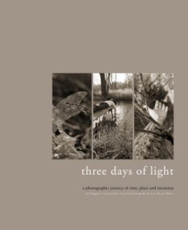 three days of light book cover