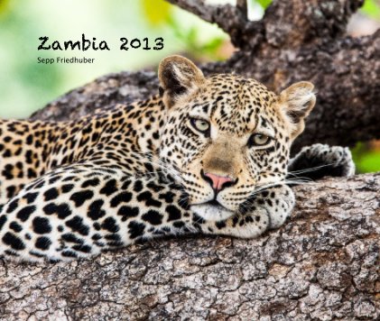 Zambia 2013 Sepp Friedhuber book cover