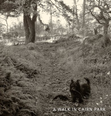 A WALK IN CAIRN PARK book cover
