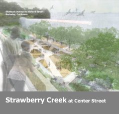 Strawberry Creek at Center Street book cover