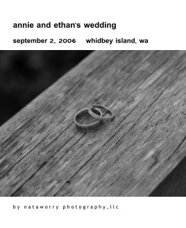 annie and ethan's wedding book cover