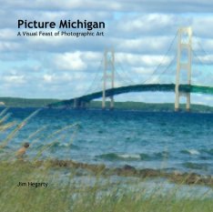Picture Michigan: A Visual Feast of Photographic Art book cover
