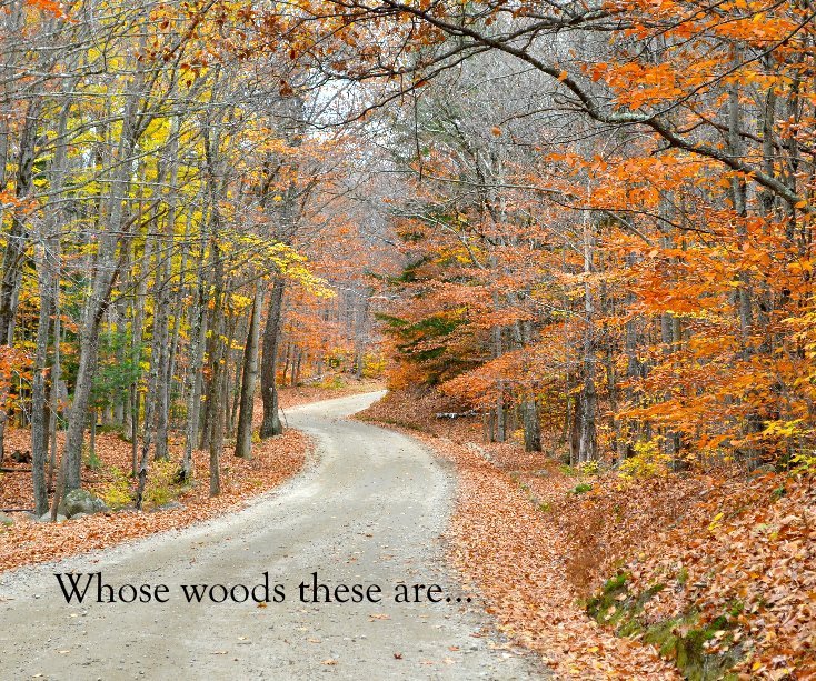 View Whose woods these are... by RRW