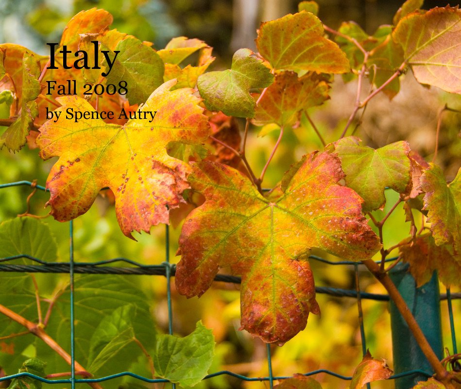 Bekijk Italy Fall 2008 op Spence Autry