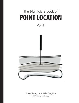 Big Picture Book of Point Location Vol 1. book cover
