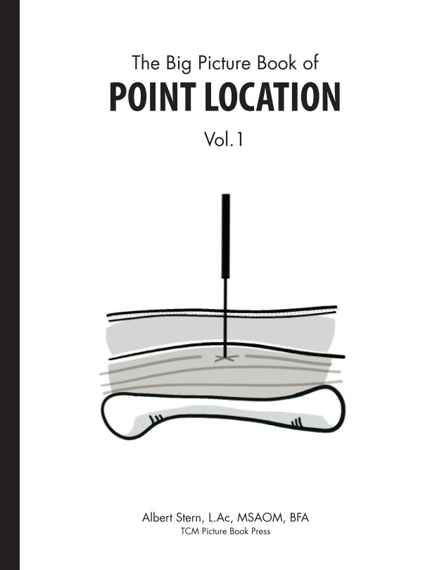Big Picture Book of Point Location Vol 1. nach Albert Stern anzeigen