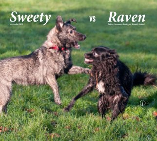 Sweety vs Raven book cover