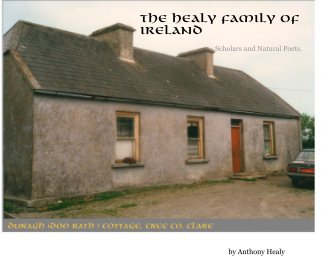 The Healy Family of Ireland book cover