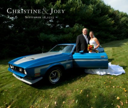 Christine and Joey Wedding book cover