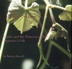 Two Stories Turtle and the Princess of Parts Demeter's Gift by Barbara Russell book cover