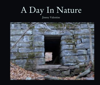 A Day In Nature book cover