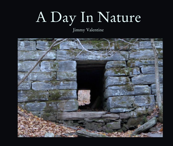 View A Day In Nature by Jimmy Valentine