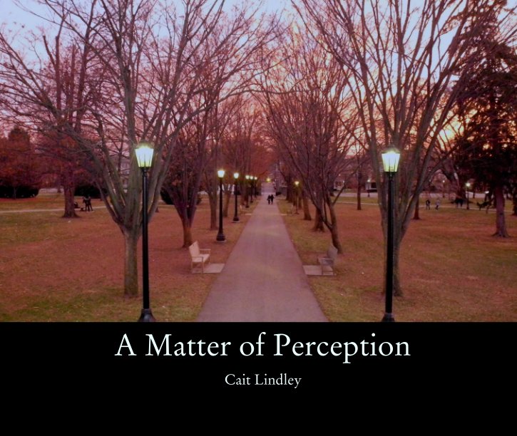 View A Matter of Perception by Cait Lindley