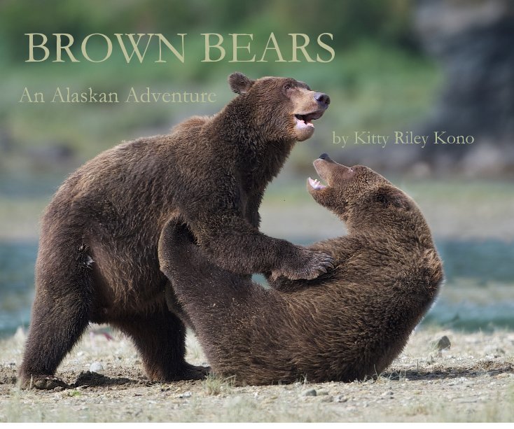 View BROWN BEARS by Kitty Riley Kono
