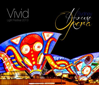 Vivid Light Festival 2013 book cover