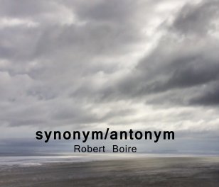 synonym/antonym book cover