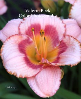 Valerie Beck Color Photography book cover