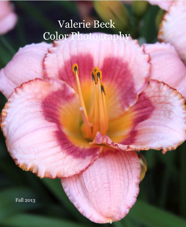 Ver Valerie Beck Color Photography por Fall 2013