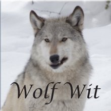 WOLF Wit book cover