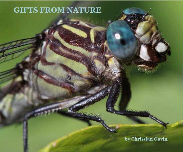 View GIFTS FROM NATURE by Christian Gavin