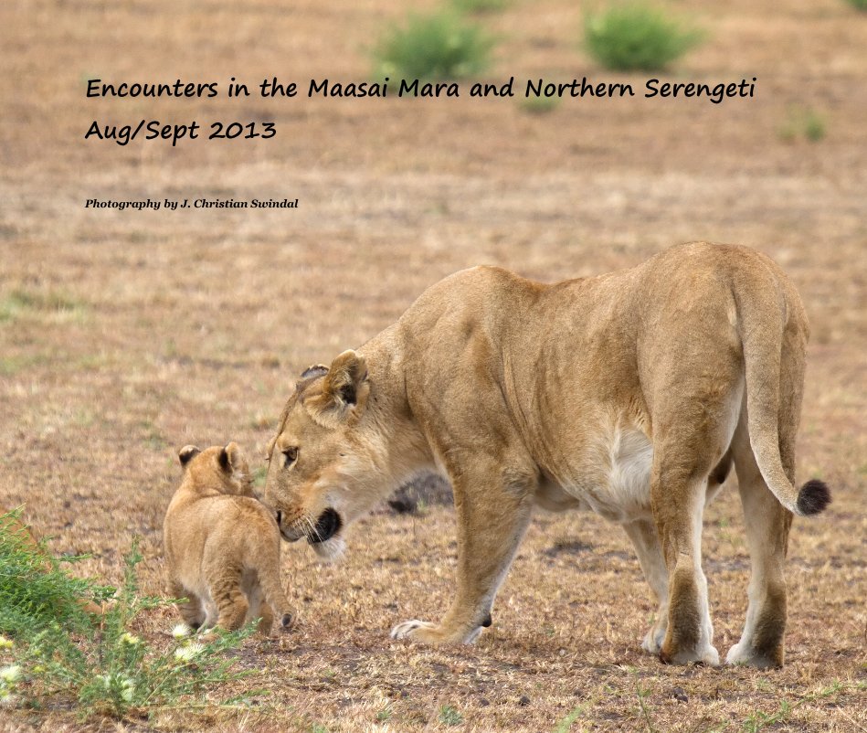 Ver Encounters in the Maasai Mara and Northern Serengeti Aug/Sept 2013 por Photography by J. Christian Swindal