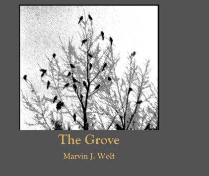 The Grove book cover