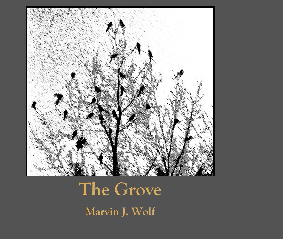 View The Grove by Marvin J. Wolf