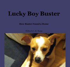Lucky Boy Buster book cover