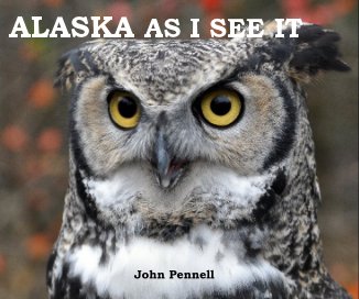 ALASKA AS I SEE IT book cover