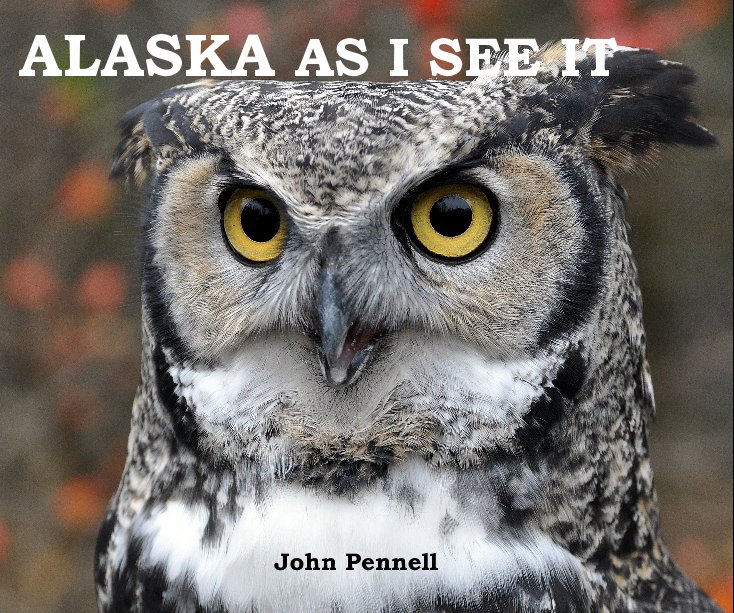 View ALASKA AS I SEE IT by John Pennell