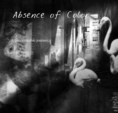 Absence of Color book cover