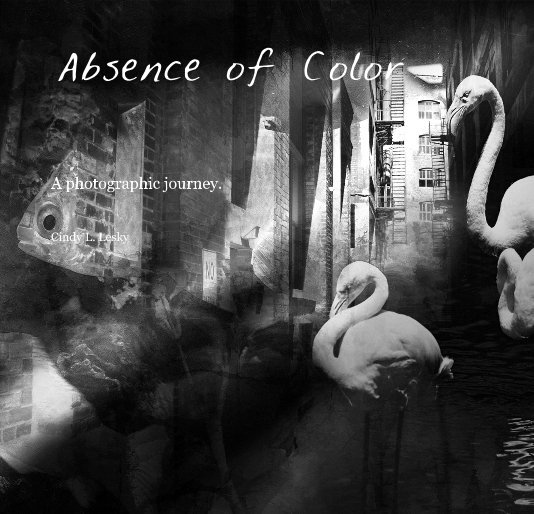 View Absence of Color by Cindy L. Lesky