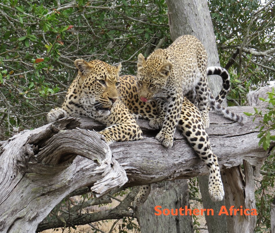 Visualizza Southern Africa di Marilyn Wells