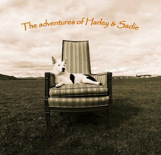 The adventures of Harley & Sadie nach Visualize Photography anzeigen