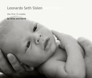 Leonardo Seth Sislen Seth Sislen: book cover