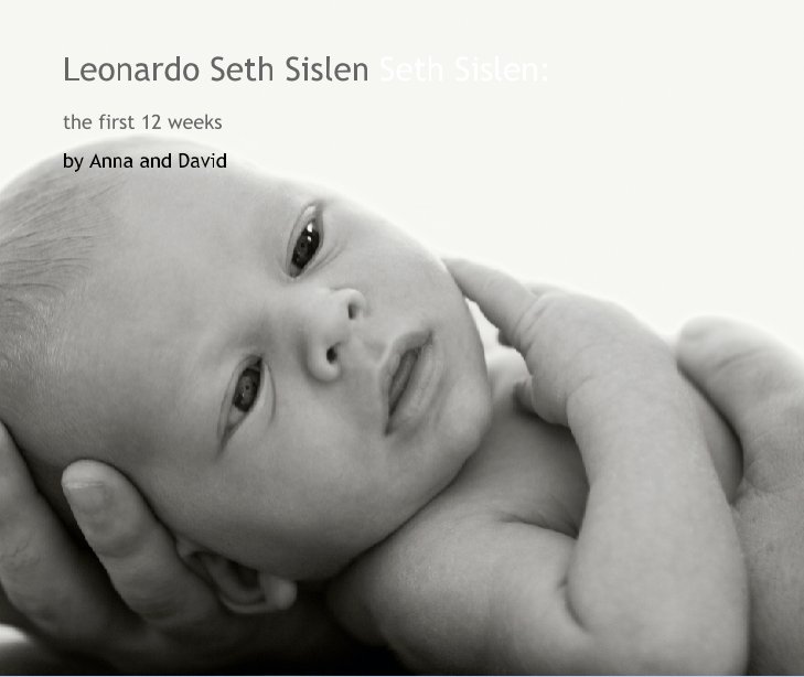 Bekijk Leonardo Seth Sislen Seth Sislen: op Anna and David