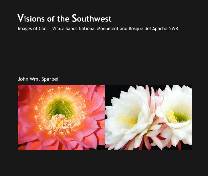 View Visions of the Southwest by John Wm. Sparbel