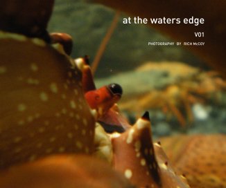 at the waters edge book cover
