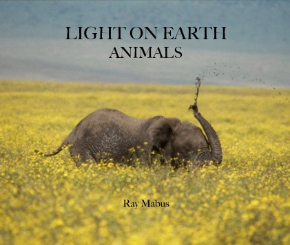 LIGHT ON EARTH ANIMALS (EXPANDED) book cover