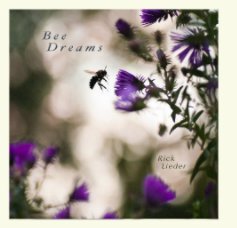 Bee Dreams book cover