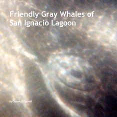 Friendly Gray Whales of San Ignacio Lagoon book cover