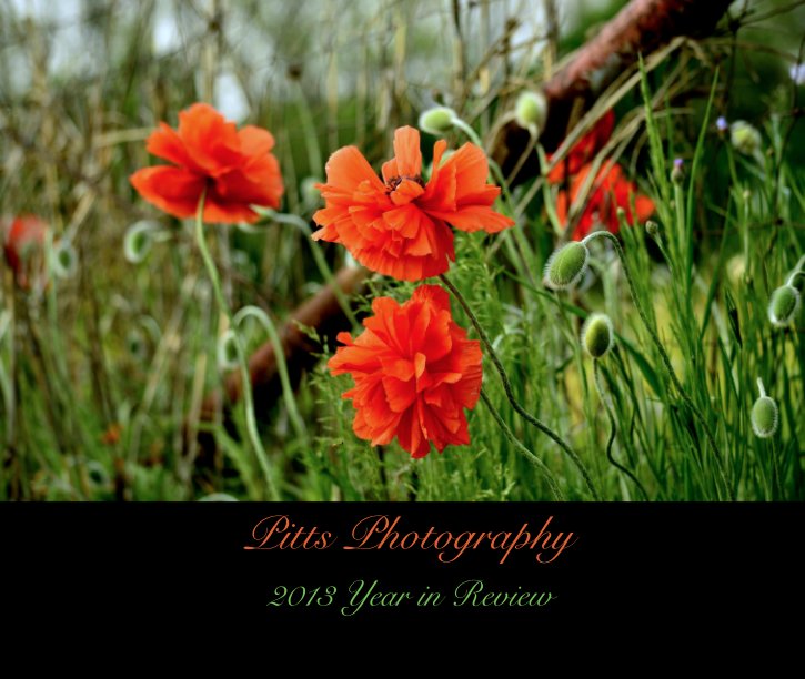Ver Pitts Photography por 2013 Year in Review