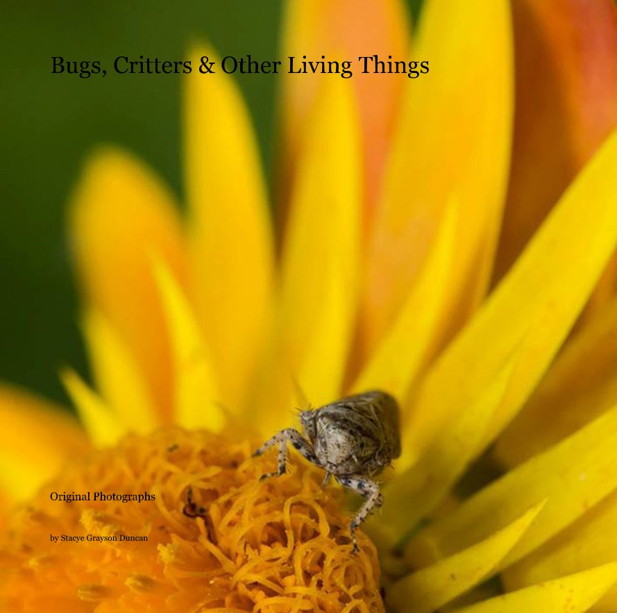 Ver Bugs, Critters & Other Living Things por Stacye Grayson Duncan