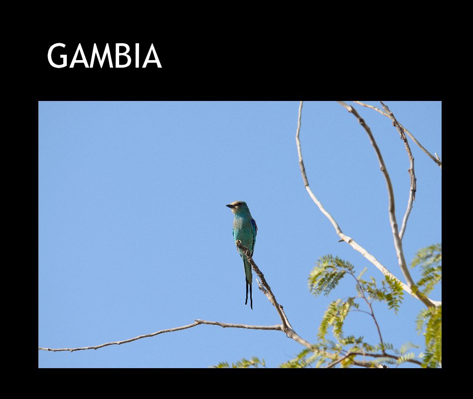 Ver GAMBIA por P.H. van Driel
