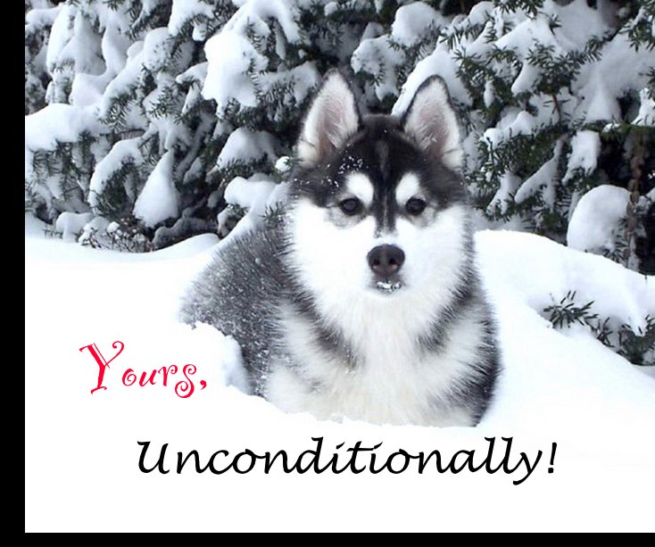 View Yours, Unconditionally by Sheri Kahle