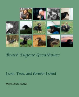 Brach Eugene Greathouse book cover
